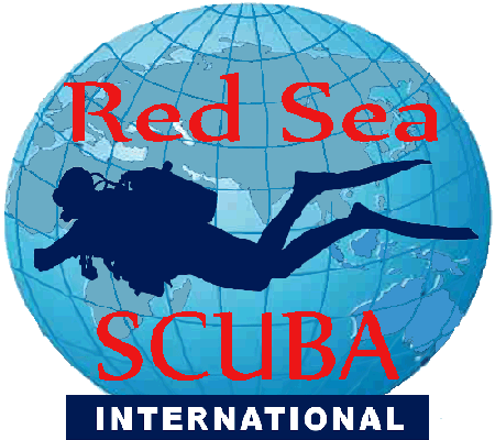 Red Sea Scuba International, a division of Divers International Group in the South Sinai at Sharm el Sheikh Egypt, is located at Lido Hotel and Eden Rock Hotel.